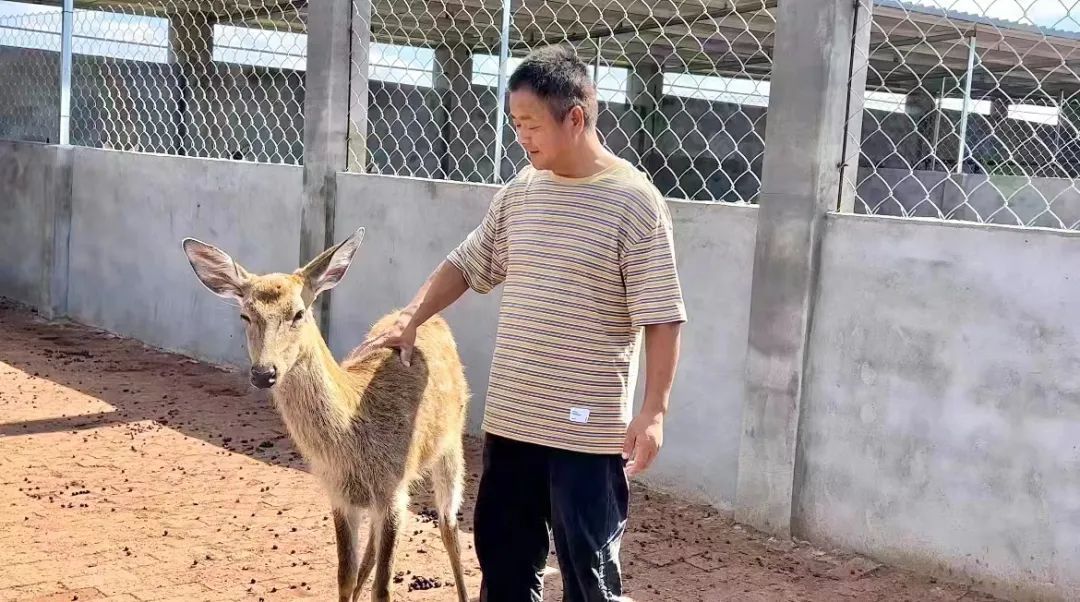 红普京网址